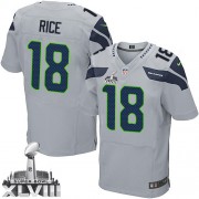 NFL Sidney Rice Seattle Seahawks Elite Alternate Super Bowl XLVIII Nike Jersey - Grey